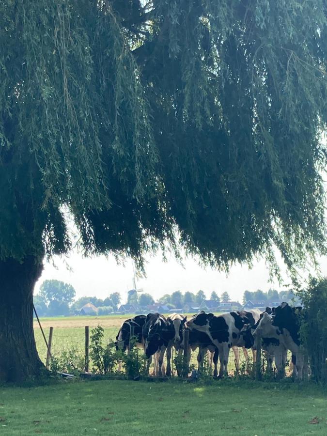 Het Uilennest Villa Wijdenes Eksteriør bilde