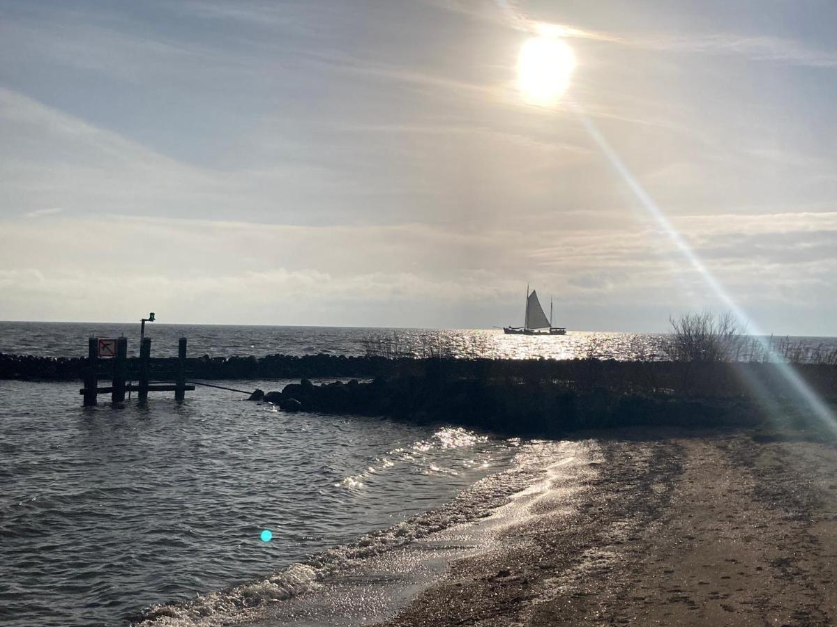Het Uilennest Villa Wijdenes Eksteriør bilde