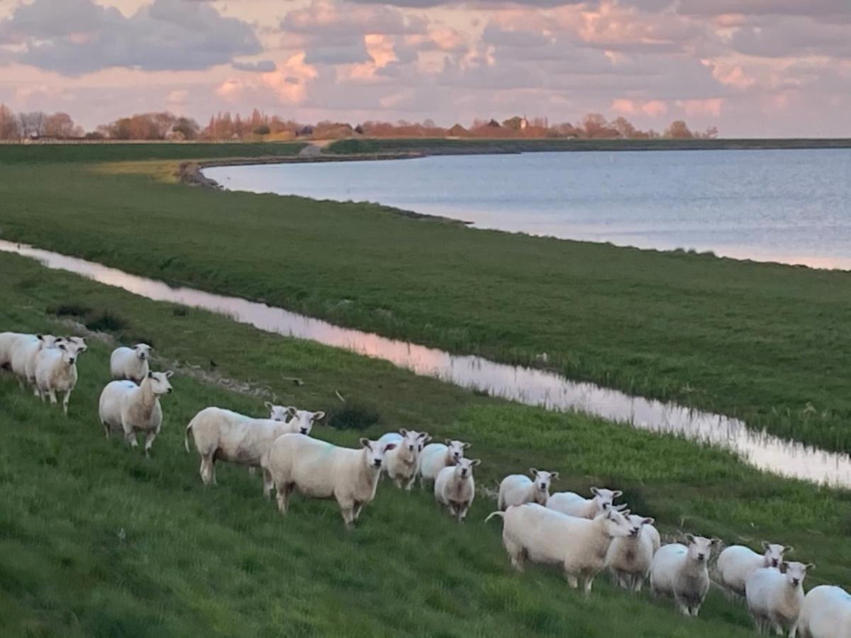 Het Uilennest Villa Wijdenes Eksteriør bilde