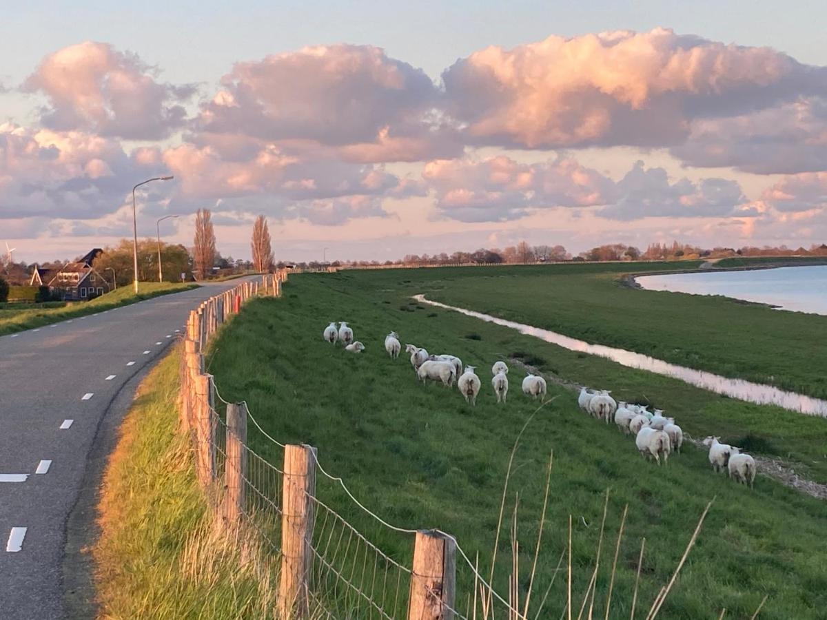 Het Uilennest Villa Wijdenes Eksteriør bilde