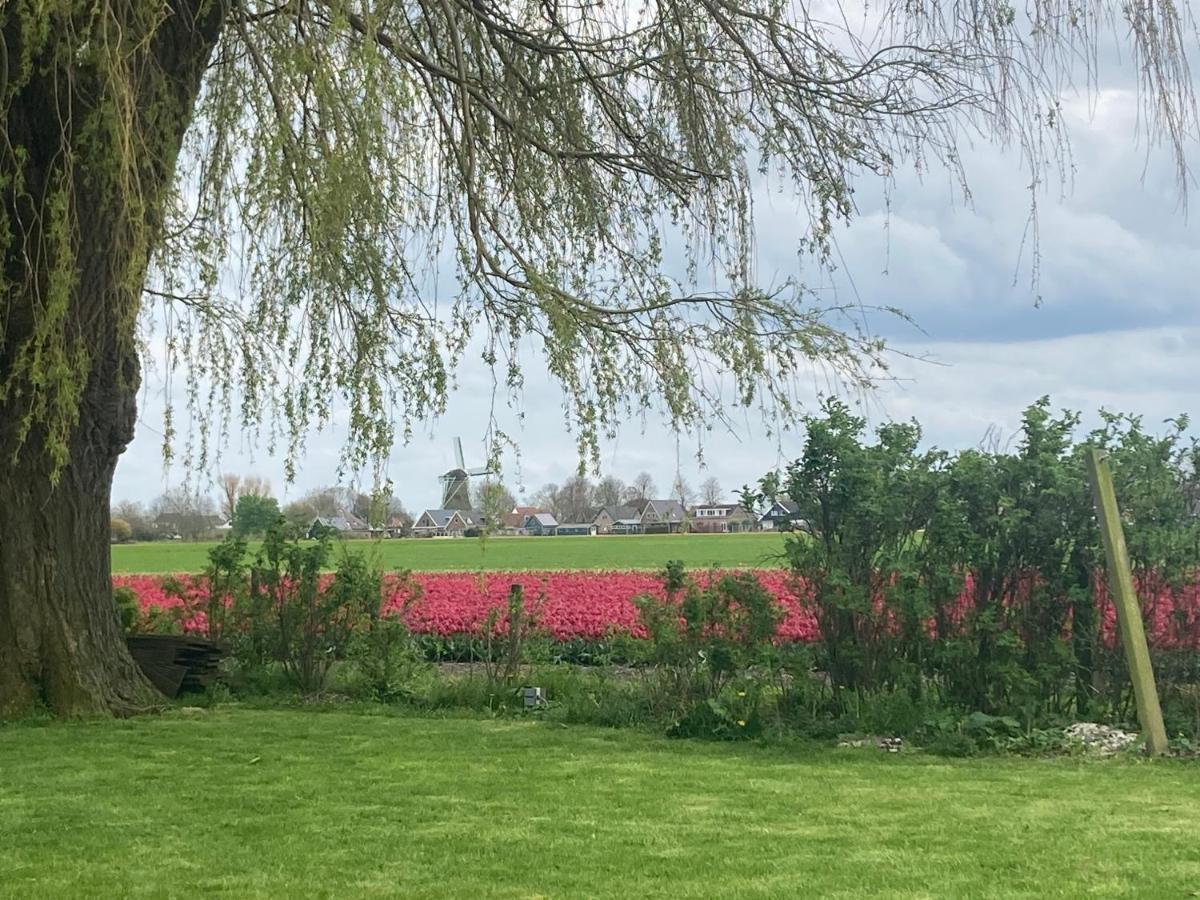 Het Uilennest Villa Wijdenes Eksteriør bilde