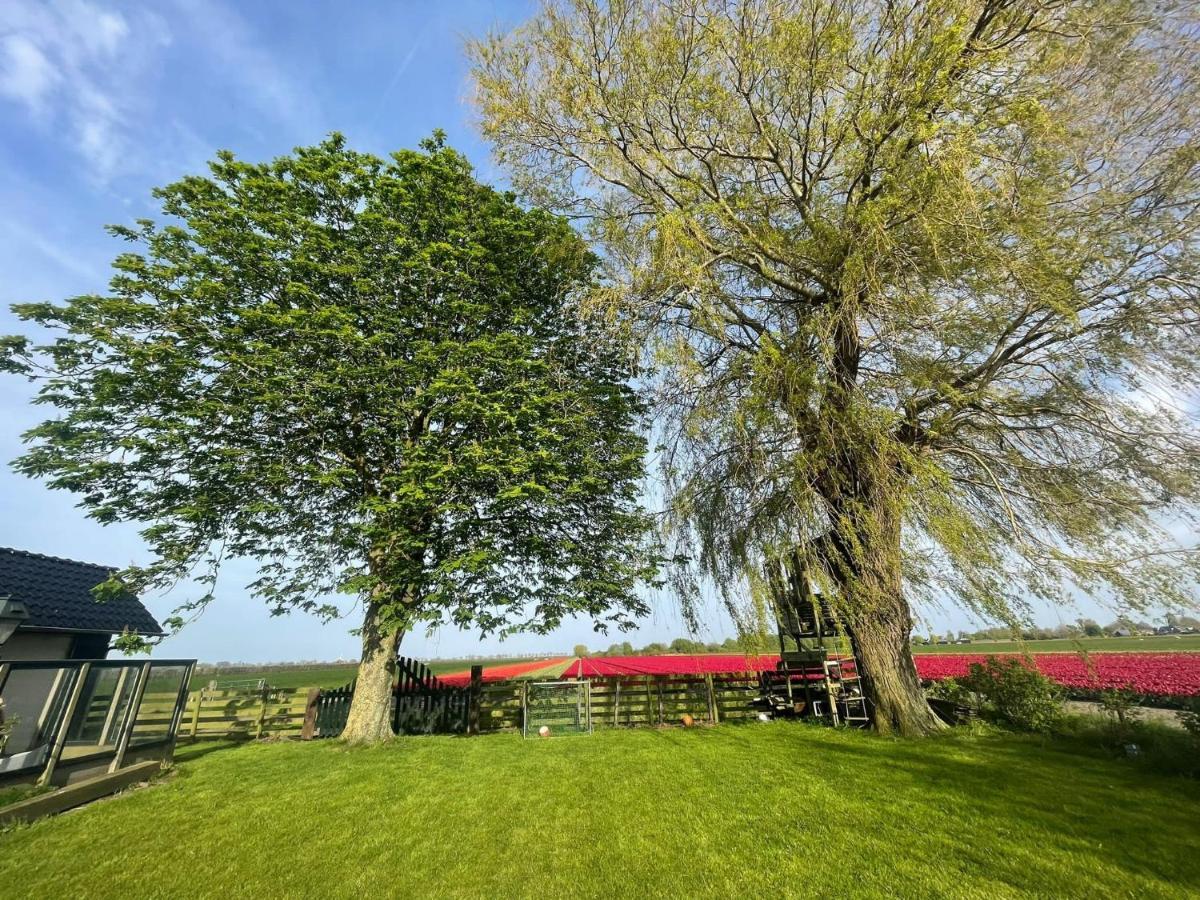 Het Uilennest Villa Wijdenes Eksteriør bilde