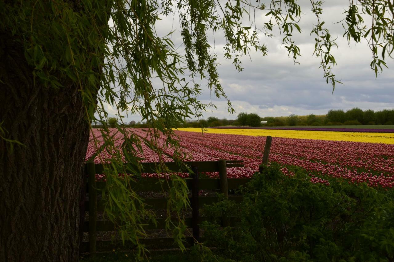 Het Uilennest Villa Wijdenes Eksteriør bilde