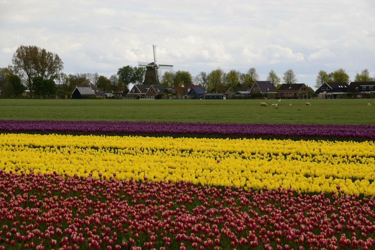Het Uilennest Villa Wijdenes Eksteriør bilde