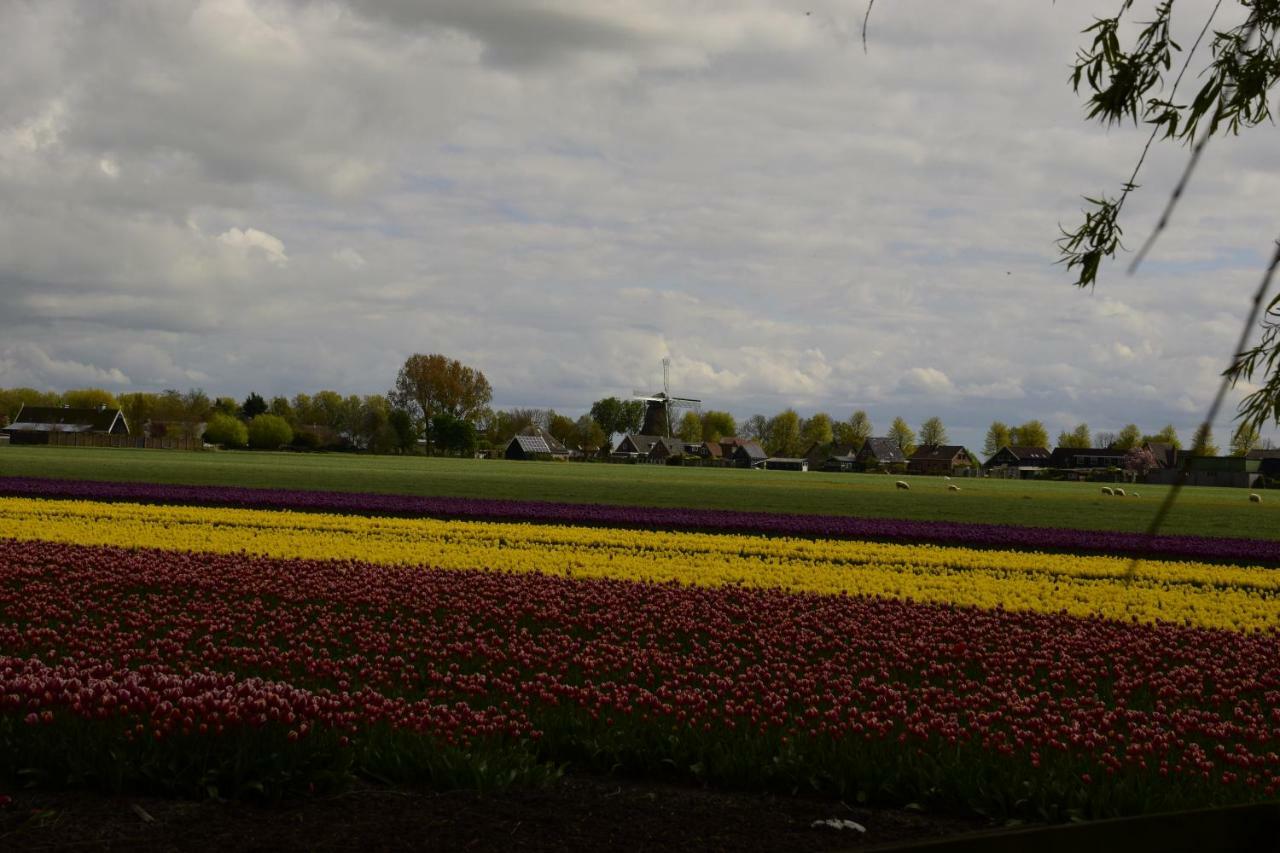Het Uilennest Villa Wijdenes Eksteriør bilde